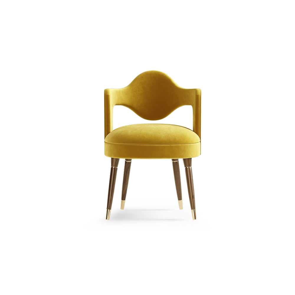 Stylish Backrest Chair