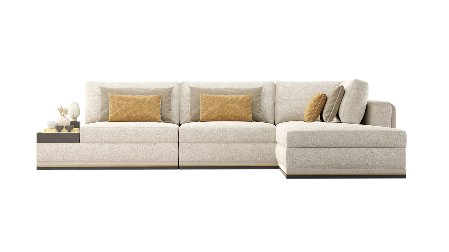 Modern Comfort Sofa