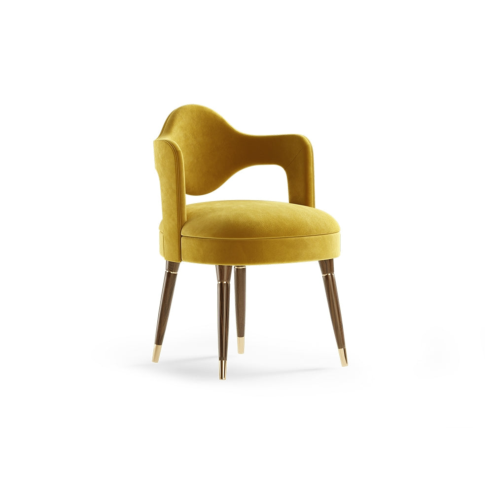 Stylish Backrest Chair
