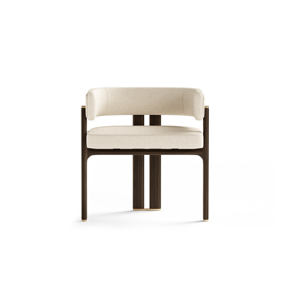 Modern Dining Chair