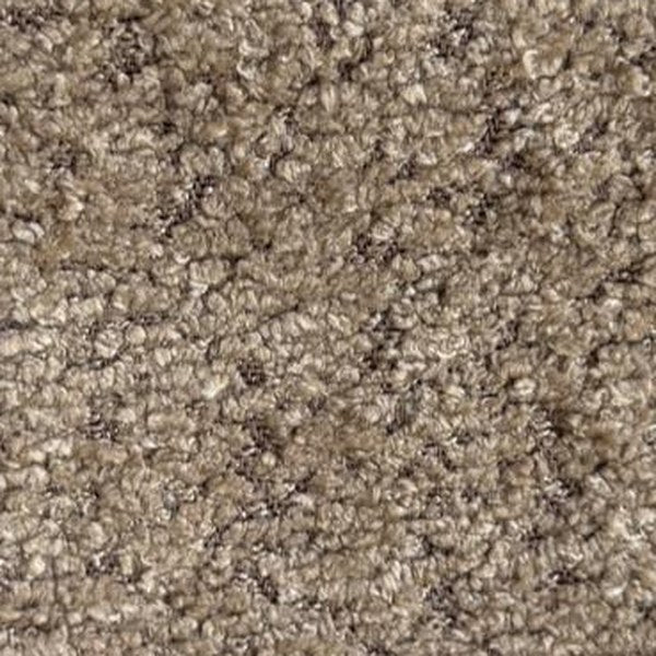Mocha Bouclé