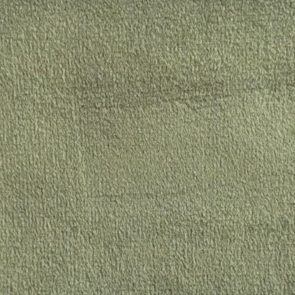 Moss