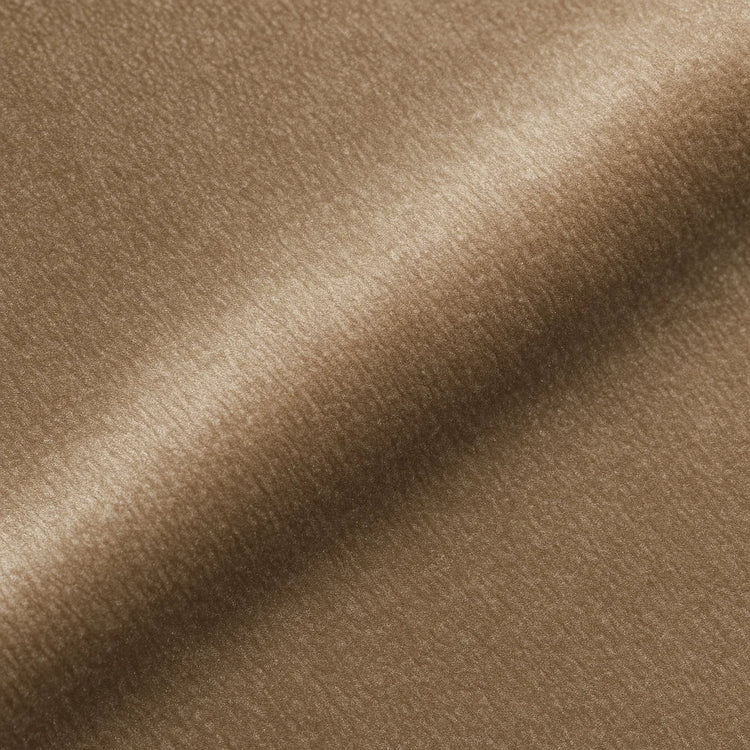 Greige Velvet
